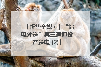 新华全媒+｜“疆电外送”第三通道投产送电 (2)