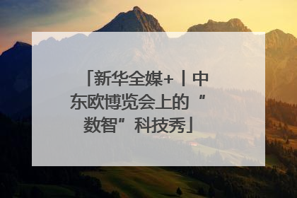 新华全媒+丨中东欧博览会上的“数智”科技秀