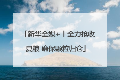 新华全媒+丨全力抢收夏粮 确保颗粒归仓