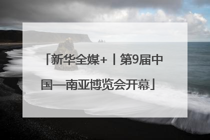 新华全媒+丨第9届中国—南亚博览会开幕