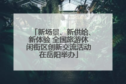 新场景、新供给、新体验 全国旅游休闲街区创新交流活动在岳阳举办