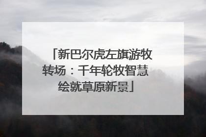 新巴尔虎左旗游牧转场：千年轮牧智慧绘就草原新景