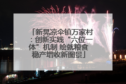 新晃凉伞镇万家村：创新实践“六位一体”机制 绘就粮食稳产增收新图景