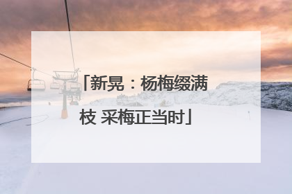 新晃：杨梅缀满枝 采梅正当时