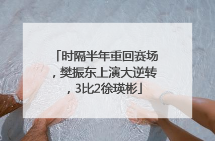 时隔半年重回赛场，樊振东上演大逆转，3比2徐瑛彬