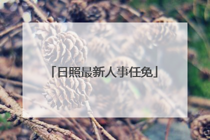 日照最新人事任免