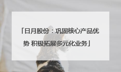 日月股份：巩固核心产品优势 积极拓展多元化业务