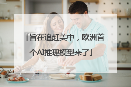 旨在追赶美中，欧洲首个AI推理模型来了