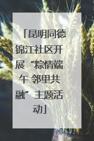 昆明同德锦江社区开展“粽情端午 邻里共融”主题活动