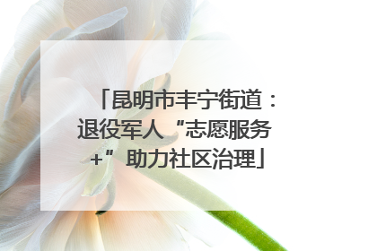昆明市丰宁街道：退役军人“志愿服务+”助力社区治理