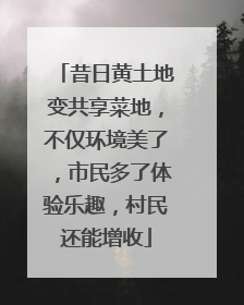 昔日黄土地变共享菜地，不仅环境美了，市民多了体验乐趣，村民还能增收