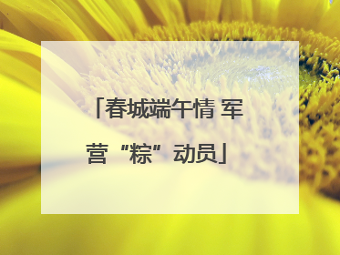 春城端午情 军营“粽”动员