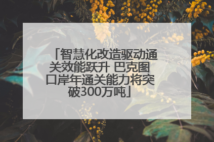 智慧化改造驱动通关效能跃升 巴克图口岸年通关能力将突破300万吨
