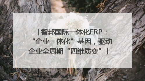 智邦国际一体化ERP：“企业一体化”基因，驱动企业全周期“四维质变”