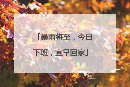 暴雨将至，今日下班，宜早回家