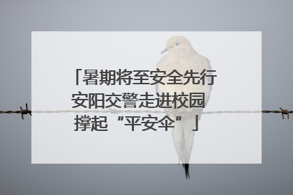 暑期将至安全先行 安阳交警走进校园撑起“平安伞”