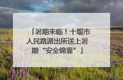暑期来临！十堰市人民路派出所送上暑期“安全锦囊”