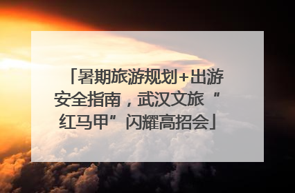 暑期旅游规划+出游安全指南，武汉文旅“红马甲”闪耀高招会