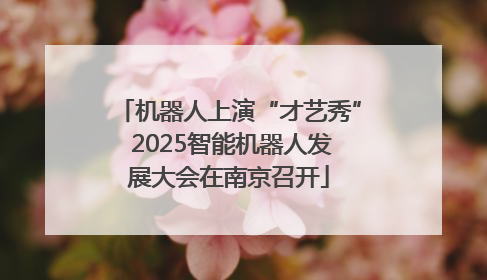 机器人上演“才艺秀” 2025智能机器人发展大会在南京召开