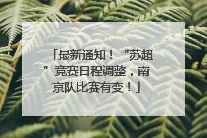 最新通知！“苏超”竞赛日程调整，南京队比赛有变！