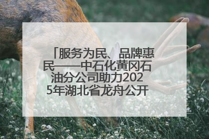服务为民、品牌惠民——中石化黄冈石油分公司助力2025年湖北省龙舟公开赛（黄冈站）