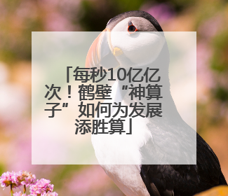 每秒10亿亿次！鹤壁“神算子”如何为发展添胜算