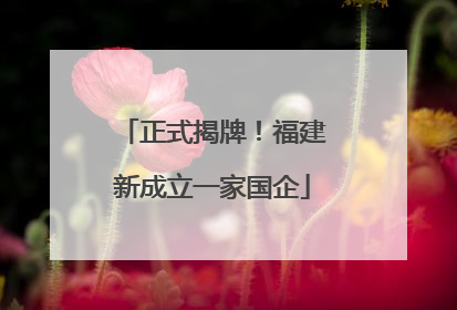 正式揭牌！福建新成立一家国企