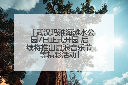 武汉玛雅海滩水公园7日正式开园 后续将推出夏浪音乐节等精彩活动