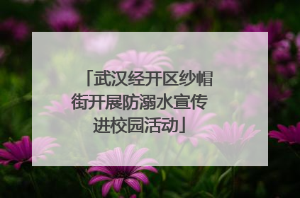 武汉经开区纱帽街开展防溺水宣传进校园活动