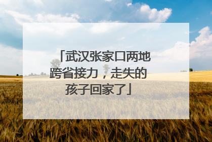 武汉张家口两地跨省接力，走失的孩子回家了