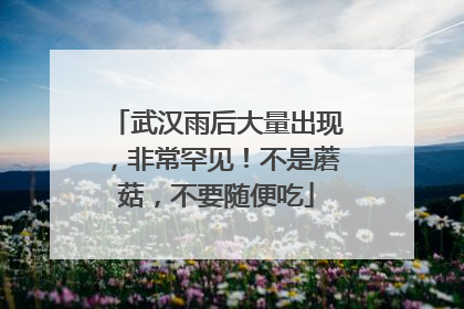 武汉雨后大量出现，非常罕见！不是蘑菇，不要随便吃