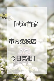 武汉首家市内免税店今日亮相