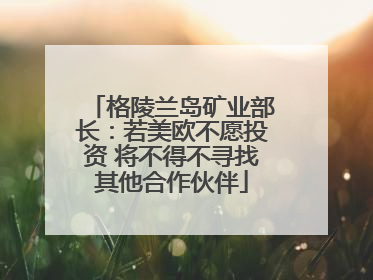 格陵兰岛矿业部长：若美欧不愿投资 将不得不寻找其他合作伙伴