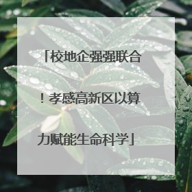 校地企强强联合！孝感高新区以算力赋能生命科学