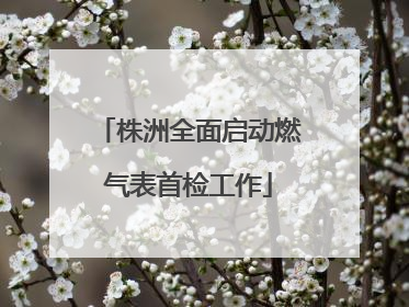 株洲全面启动燃气表首检工作