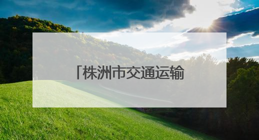 株洲市交通运输局开展“银龄端午福满情”活动