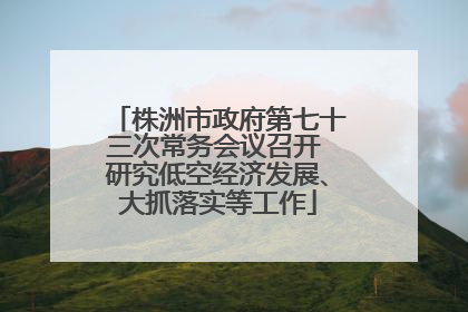 株洲市政府第七十三次常务会议召开 研究低空经济发展、大抓落实等工作