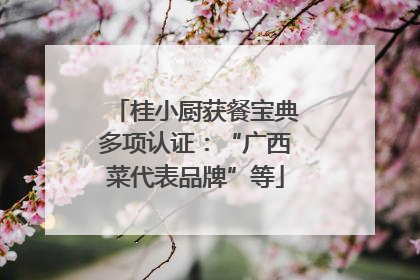 桂小厨获餐宝典多项认证：“广西菜代表品牌”等