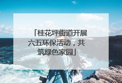 桂花坪街道开展六五环保活动，共筑绿色家园