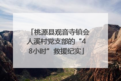 桃源县观音寺镇会人溪村党支部的“48小时”救援纪实