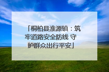 桐柏县淮源镇：筑牢道路安全防线 守护群众出行平安