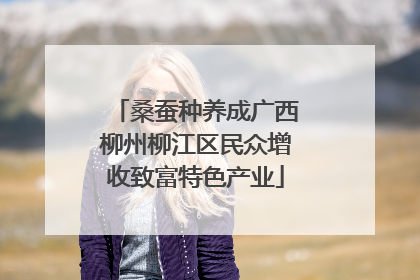 桑蚕种养成广西柳州柳江区民众增收致富特色产业