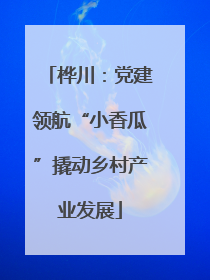 桦川：党建领航“小香瓜”撬动乡村产业发展