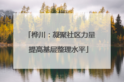 桦川：凝聚社区力量 提高基层整理水平