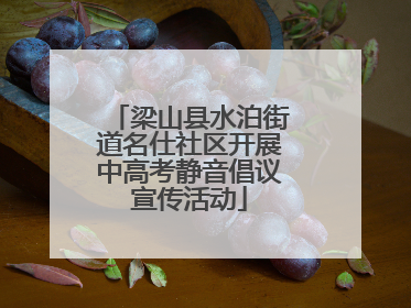 梁山县水泊街道名仕社区开展中高考静音倡议宣传活动