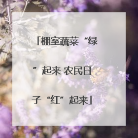 棚室蔬菜“绿”起来 农民日子“红”起来