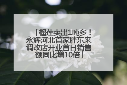 榴莲卖出1吨多！永辉河北首家胖东来调改店开业首日销售额同比增10倍