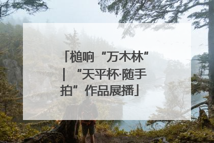 槌响“万木林”｜“天平杯·随手拍”作品展播