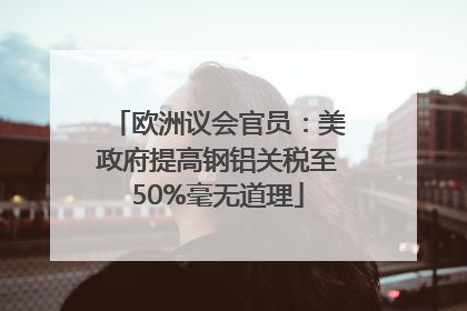 欧洲议会官员：美政府提高钢铝关税至50%毫无道理