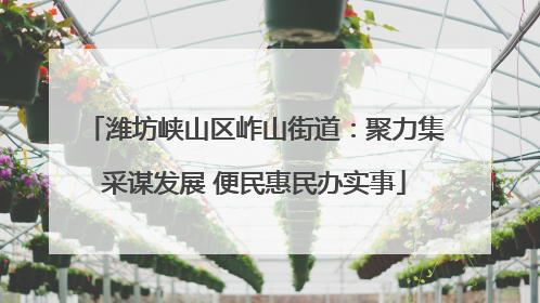 潍坊峡山区岞山街道：聚力集采谋发展 便民惠民办实事